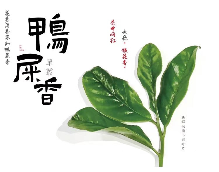 “NEW” 2024 最新雪片【鸭屎香】 Y2024 Winter 【Duck Shit Tea】,125g