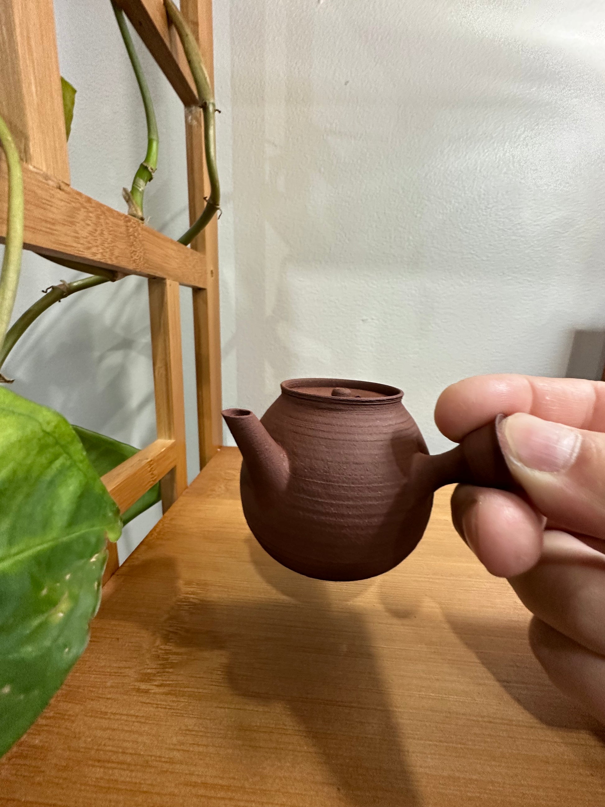 纯手工潮州手拉侧把壶 钟玉鹏作品 Pure handmade Chaozhou side handle teapot 茶壶