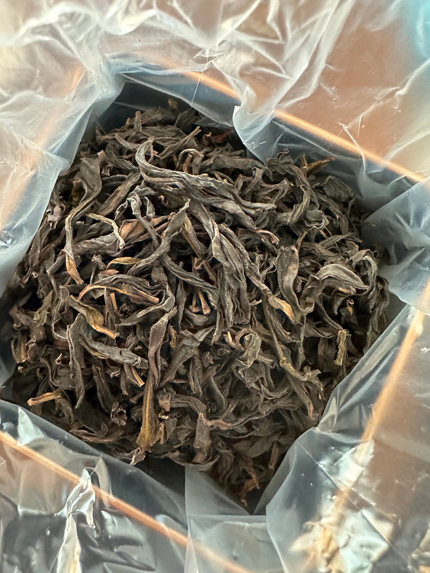 “NEW” ～ 中山老枞【八仙】2023春 Spring Wudong Old Tea Tree【Eight Immortals】 125g