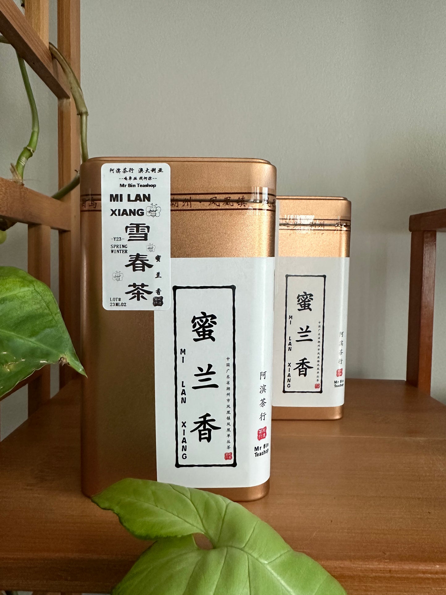 Sale～ 凤凰单丛 雪春【蜜兰香】【Milan Xiang】125g