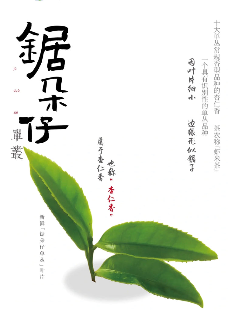 “NEW”凤凰单丛【乌岽锯朵仔】 WUDONG Saw Teeth Tea 125g “Hot Selling”