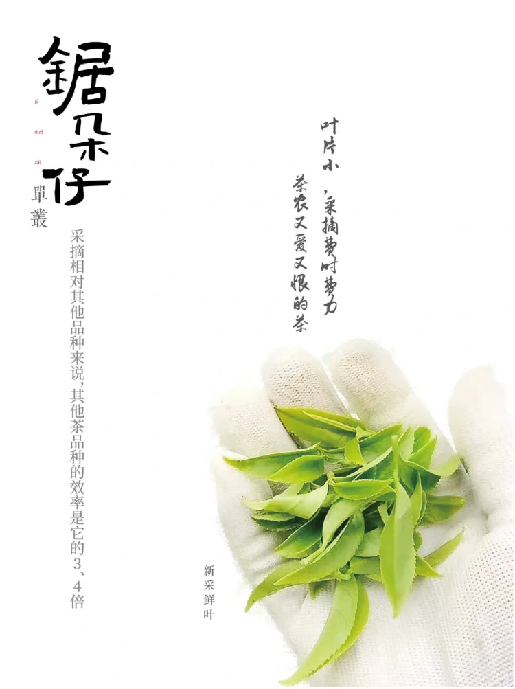 凤凰单丛 【乌岽锯朵仔】 WUDONG 【Saw Tooth Tea】125g