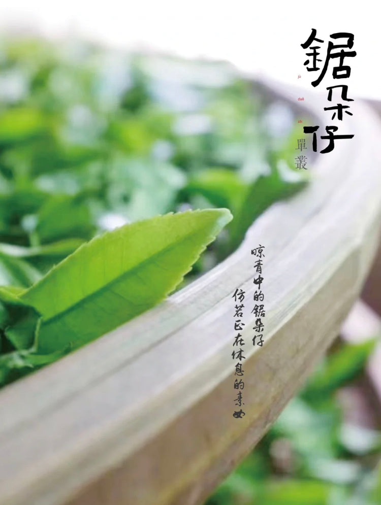 凤凰单丛 【乌岽锯朵仔】 WUDONG 【Saw Tooth Tea】125g