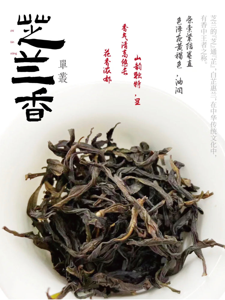 中罐茶 雪片【芝兰香】Winter 【Zhilan Xiang】 50g