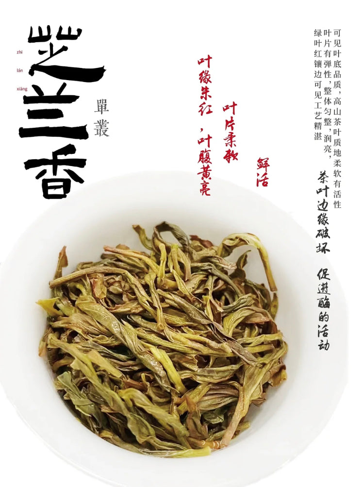 凤凰单丛【芝兰香】春天的茶 SPRING【ZHILAN XIANG】125g