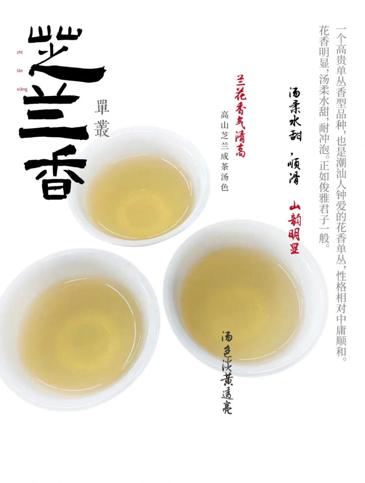 中罐茶 雪片【芝兰香】Winter 【Zhilan Xiang】 50g