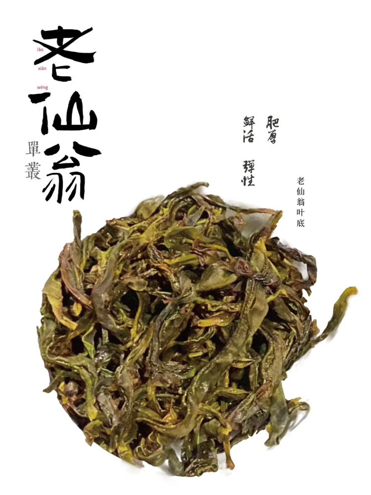 凤凰单丛 珍品乌岽【老仙翁】 Wudong 【Old Immortal】125g