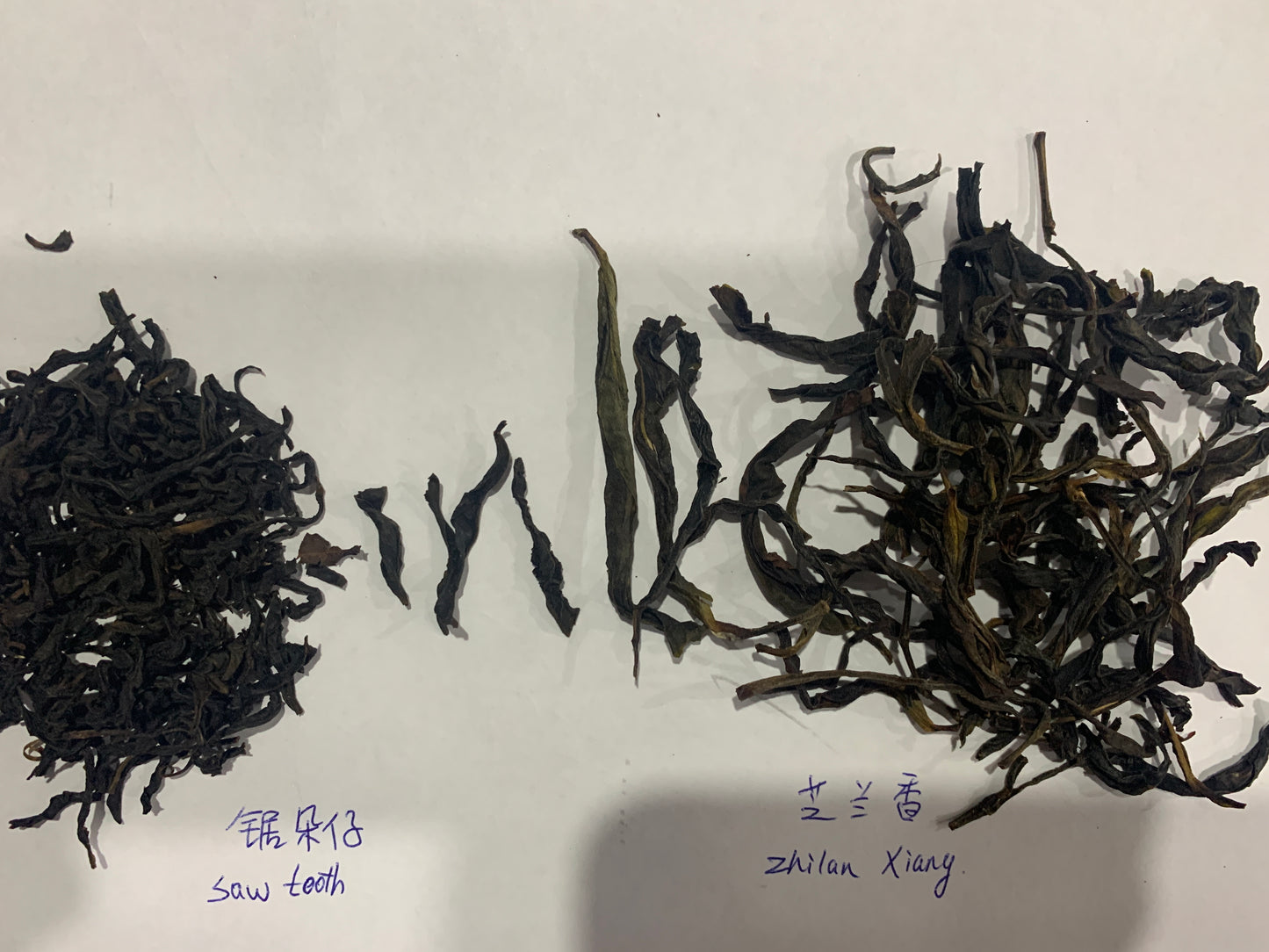 凤凰单丛 【乌岽锯朵仔】 WUDONG 【Saw Tooth Tea】125g