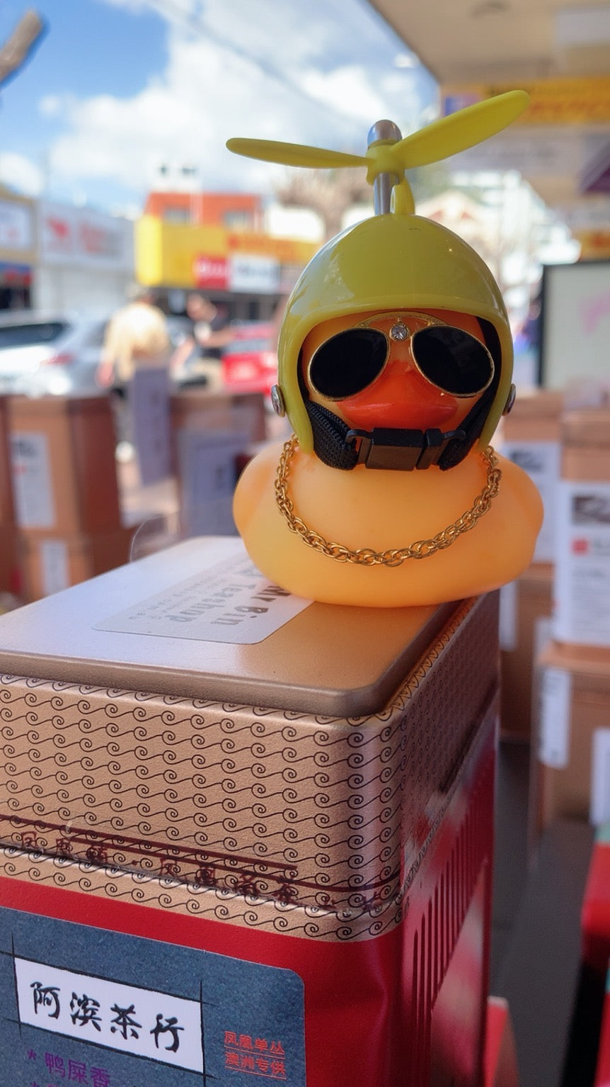 【社会我鸭哥】【TIKTOK DUCK TOY】(other)